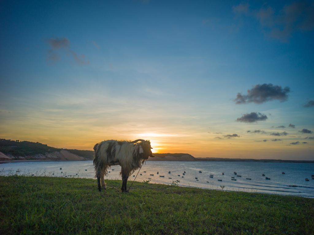Pousada La Bonita Baia Formosa  Bagian luar foto