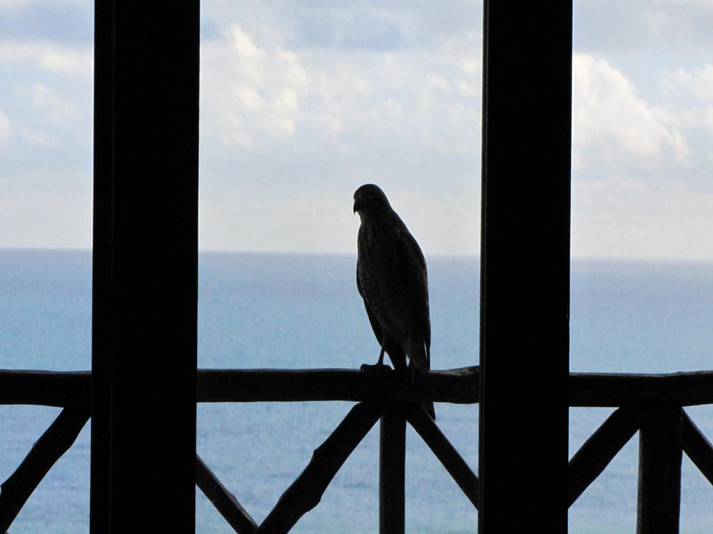 Pousada La Bonita Baia Formosa  Bagian luar foto