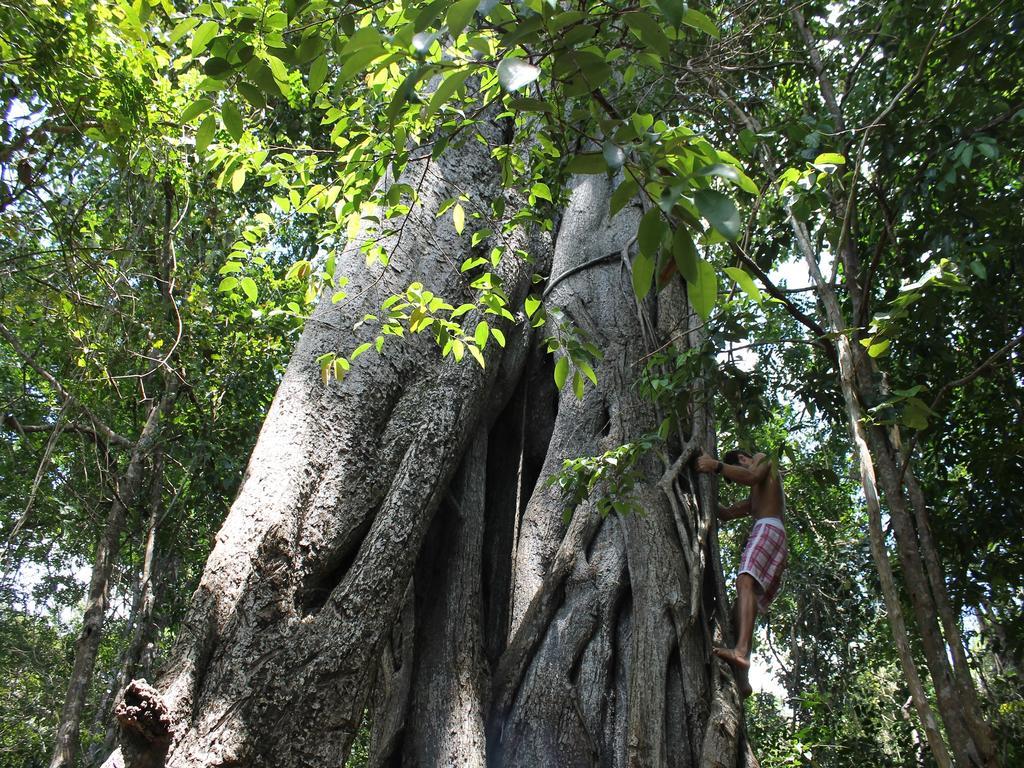 Pousada La Bonita Baia Formosa  Bagian luar foto