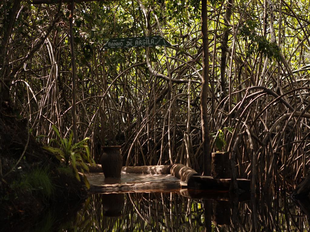 Pousada La Bonita Baia Formosa  Bagian luar foto